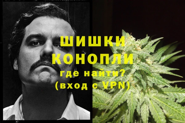 дмт Пересвет