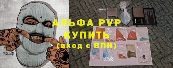 прущие грибы Пестово