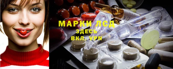 мдпв Богданович