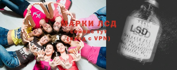 мдпв Богданович